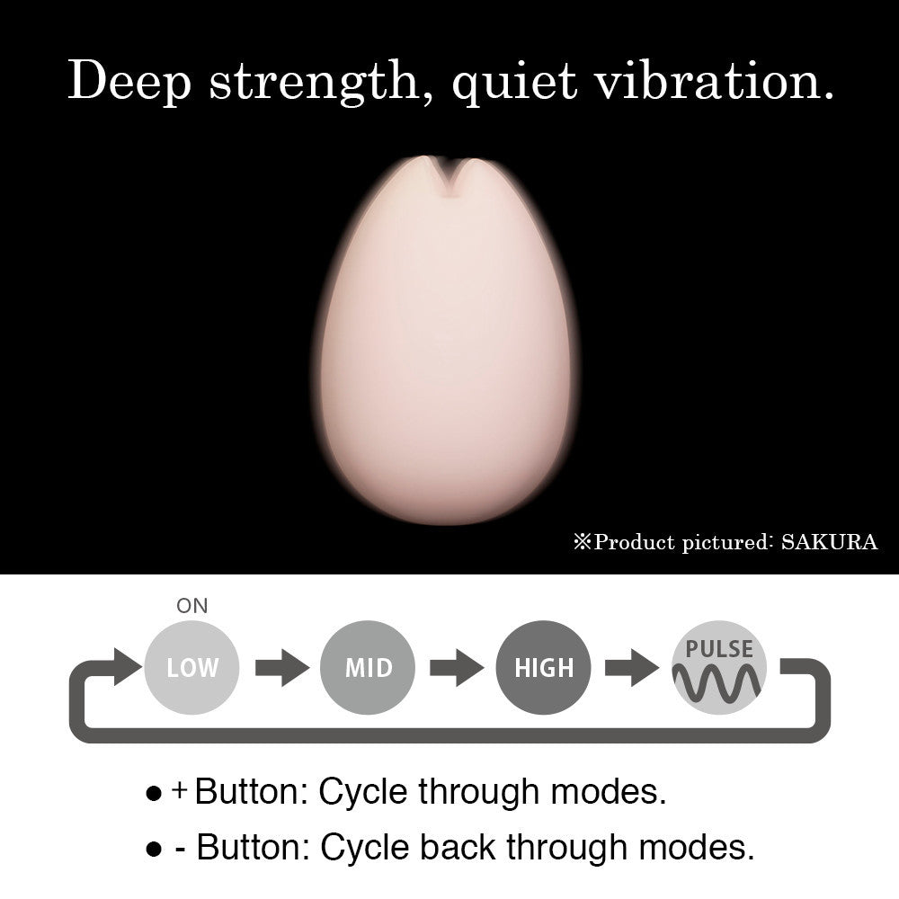 Iroha Yuki Vibrator