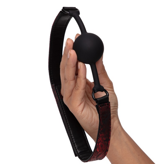 Fifty Shades of Grey Sweet Anticipation Ball Gag