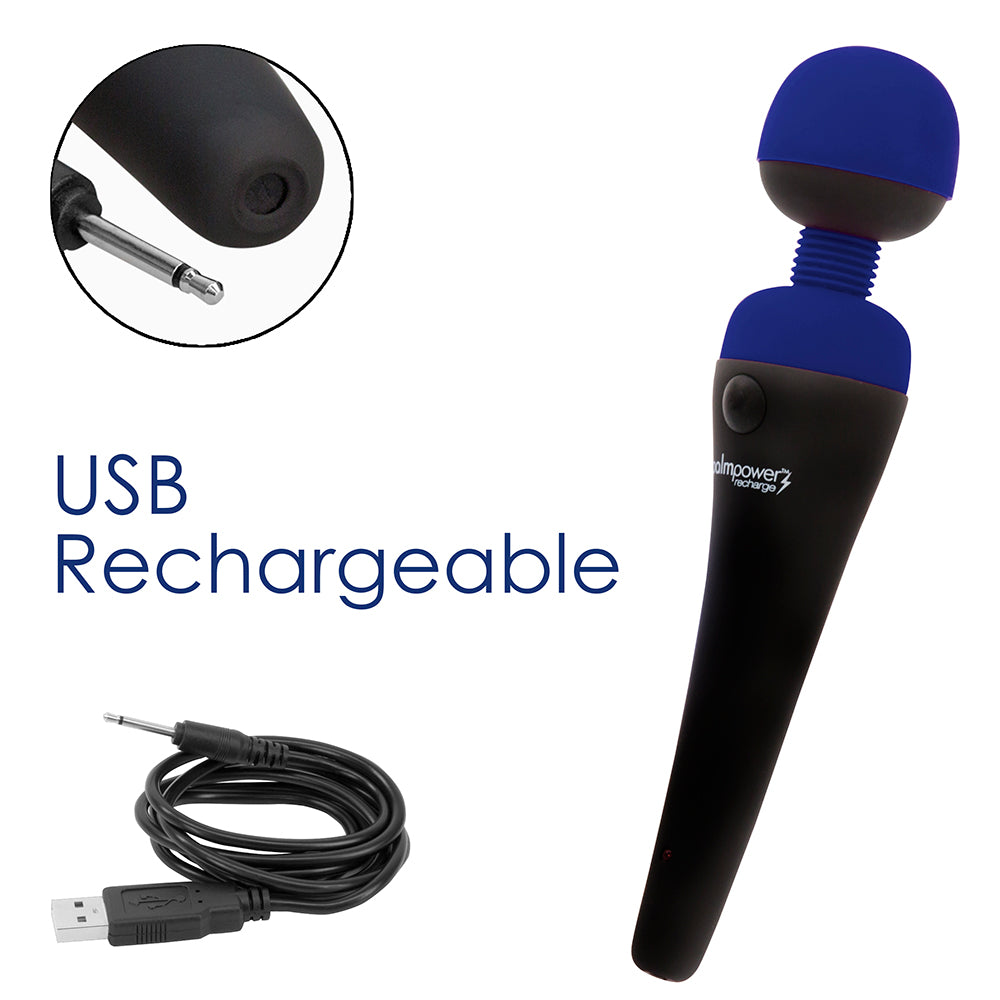 BMS Factory Palm Power Rechargeable Massager - Blue