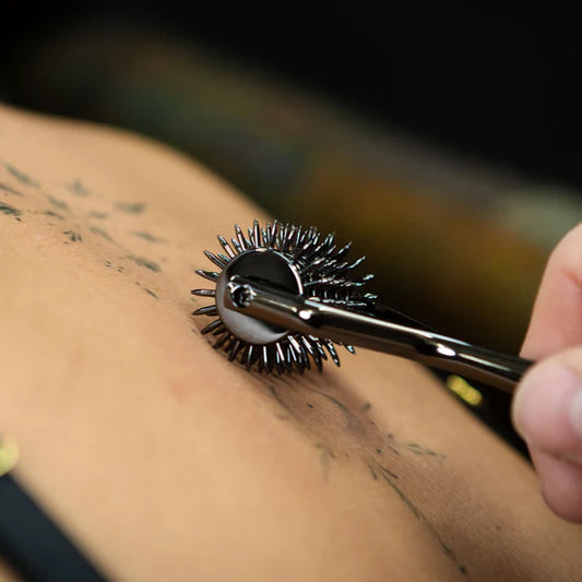 SEI MIO Wonder Wheel 5 Row Sensory Wheel