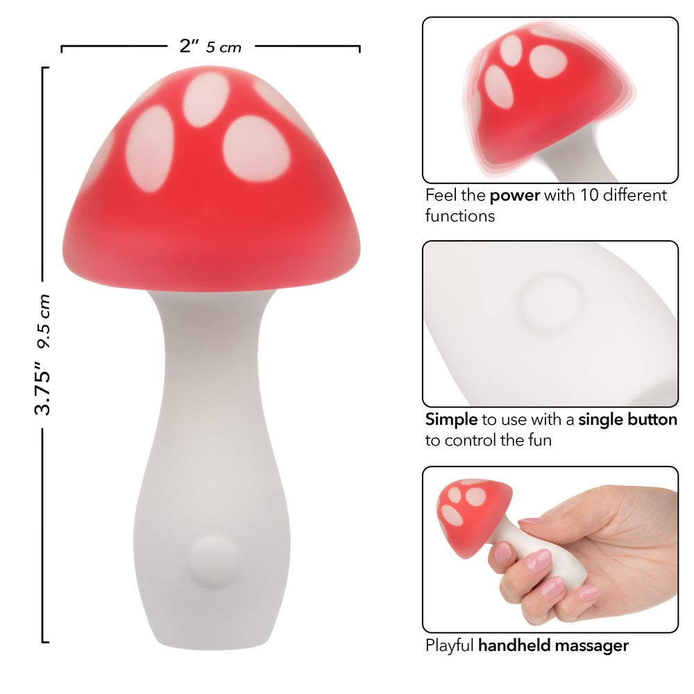 Naughty Bits mushroom vibe next to USB charging cable