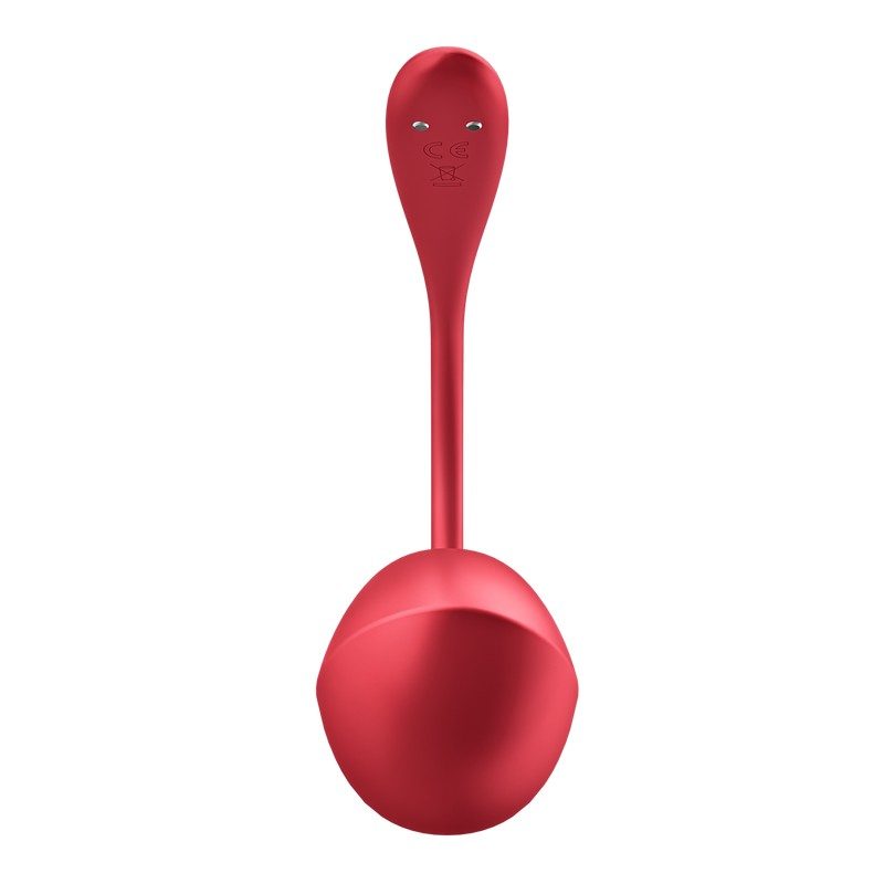 Satisfyer Ribbed Petal Wearable Vibrator – App & Remote Control
