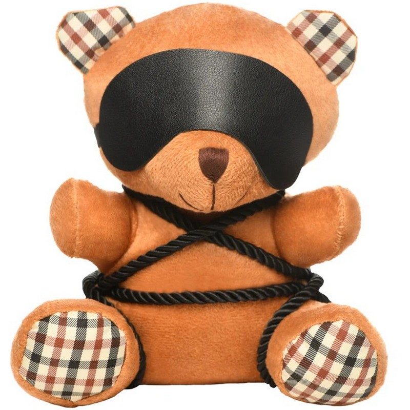 Brown teddy bear with plaid ears and feet, tied up with black rope on a white background