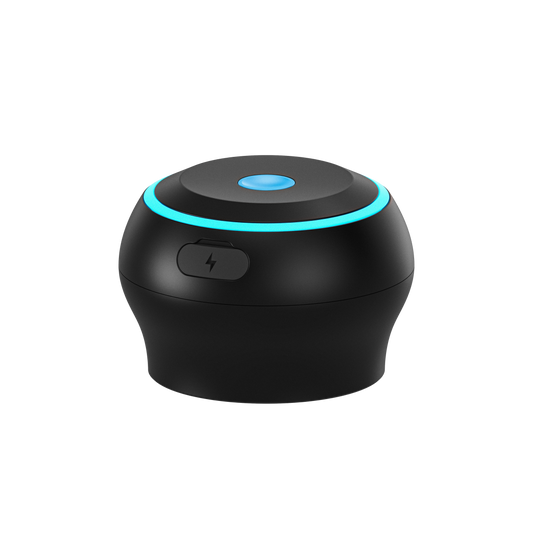 Kiiroo Control Interactive Pleasure Controller