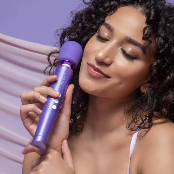Le Wand Petite Rechargeable Massager