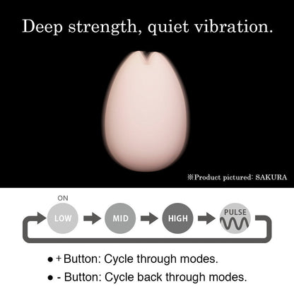 Iroha Yuki Vibrator