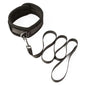 SEI MIO Take the Lead Padded Neck Collar and Leash