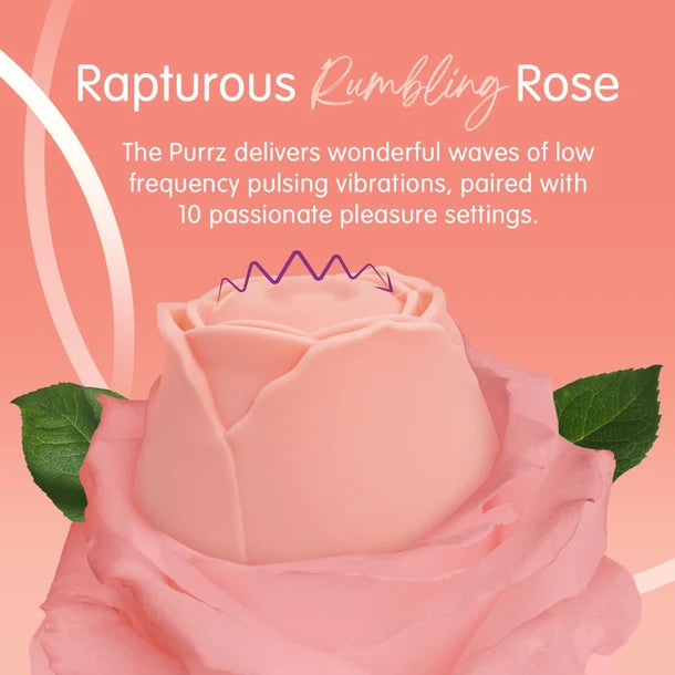 Skins Rose Buddies The Rose Purrz Vibrator