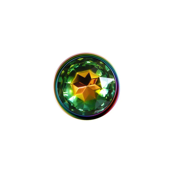 Evolved Novelties Rainbow Metal Plug