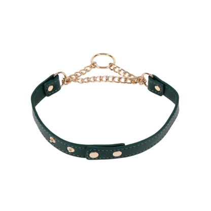 Sportsheets Indica Day Collar