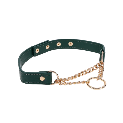 Sportsheets Indica Day Collar