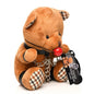 Plush toy bear with checkered details and a tag on a white background