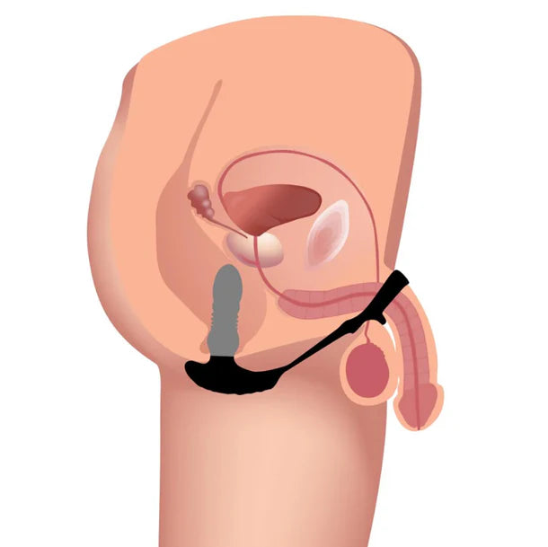 Remote Control Thrusting Silicone Plug & Cock Ring Vibrator