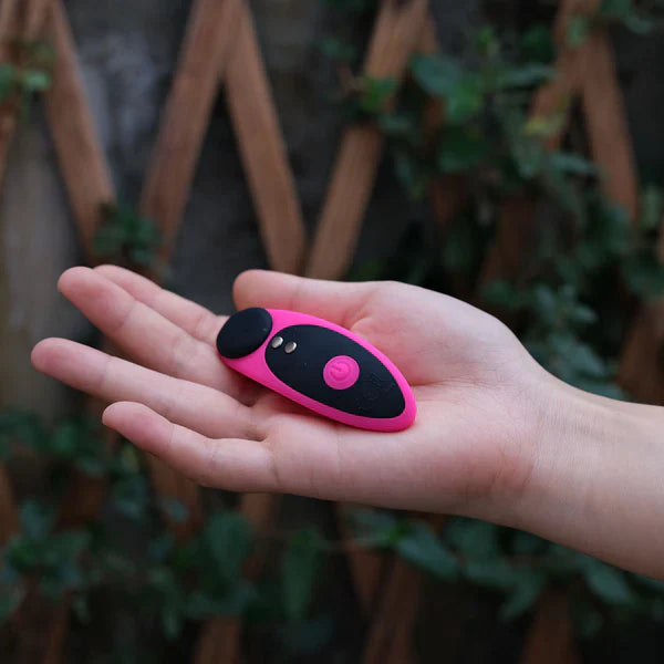 Lovense Ferri app-controlled panty vibrator with magnetic cap