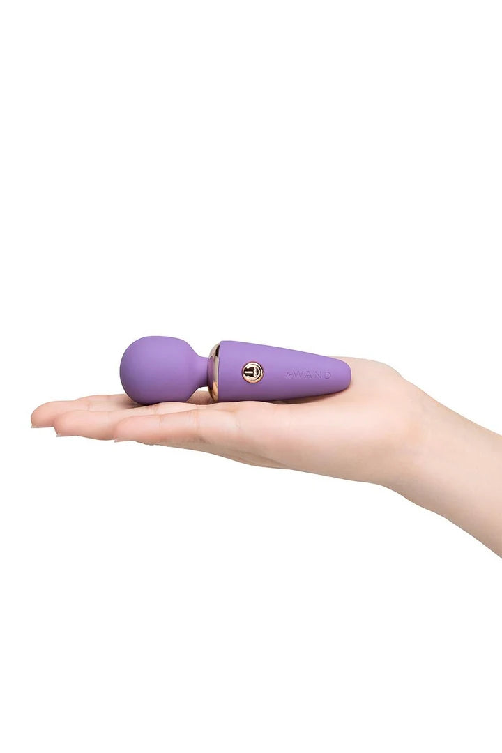 Le Wand Mini Vibe MicroWand Rechargeable Wand Massager