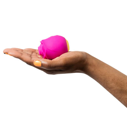 ROMP Rose stimulator with magnetic USB charger and safety instructions